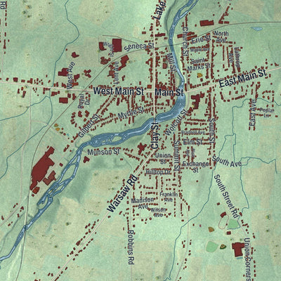 Close-up of the map of the Town of Le Roy, New York print showing street and building detail