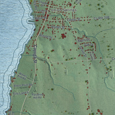 Close-up of the map of Springport, New York print showing street and building detail