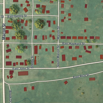 Close-up of the map of Meadville, Missouri print showing street and building detail