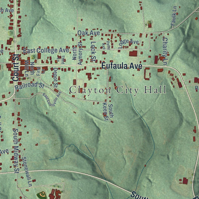 Close-up of the map of Clayton, Alabama print showing street and building detail