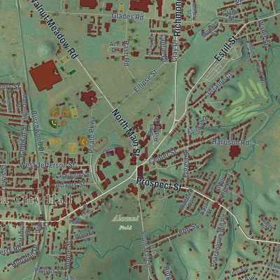 Close-up of the map of Berea, Kentucky print showing street and building detail