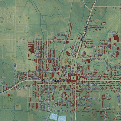 Close-up of the map of Canton, Mississippi print showing street and building detail