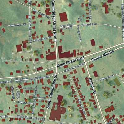 Close-up of the map of Ninety Six, South Carolina print showing street and building detail