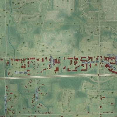 Close-up of the map of Alaiedon, Michigan print showing street and building detail