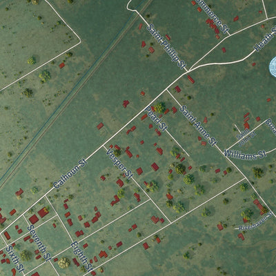 Close-up of the map of Liverpool, Texas print showing street and building detail