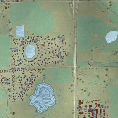 Close-up of the map of Mead, Colorado print showing street and building detail
