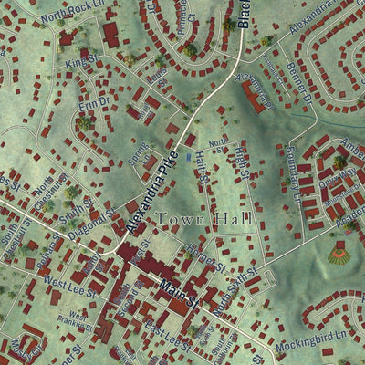 Close-up of the map of Warrenton, Virginia print showing street and building detail