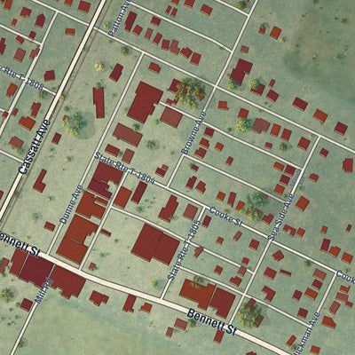 Close-up of the map of Parksley, Virginia print showing street and building detail