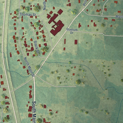 Close-up of the map of Sarepta, Louisiana print showing street and building detail