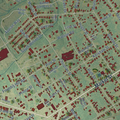 Close-up of the map of Cheraw, South Carolina print showing street and building detail