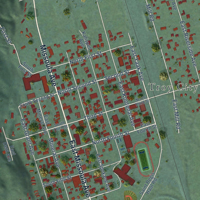 Close-up of the map of Troy, Montana print showing street and building detail