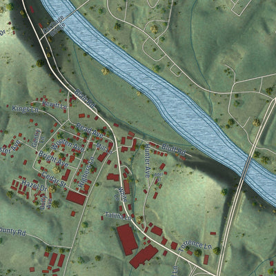 Close-up of the map of South Carthage, Tennessee print showing street and building detail