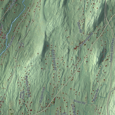 Close-up of the map of Pleasant Valley, New York print showing street and building detail