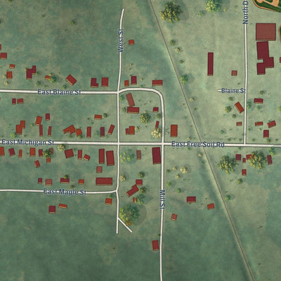 Close-up of the map of Free Soil, Michigan print showing street and building detail
