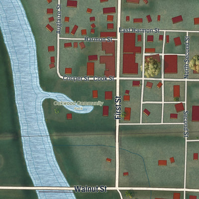 Close-up of the map of Oakwood, Paulding County, Ohio print showing street and building detail