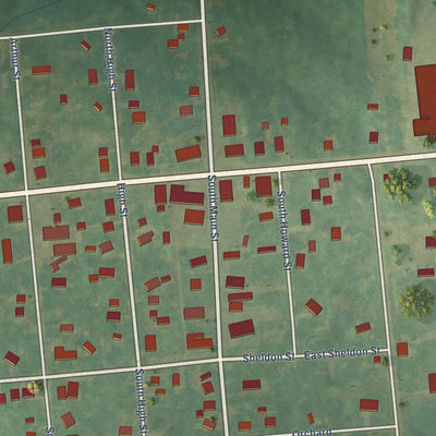 Close-up of the map of Carsonville, Michigan print showing street and building detail