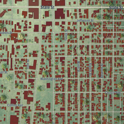 Close-up of the map of Lawrenceville, Illinois print showing street and building detail