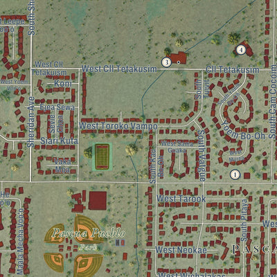 Close-up of the map of Pascua Yaqui Tribe, Arizona print showing street and building detail