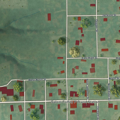 Close-up of the map of Coffey, Missouri print showing street and building detail
