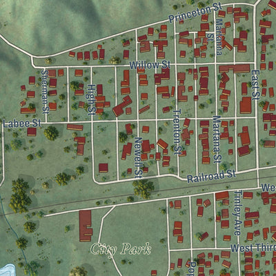 Close-up of the map of De Pue, Illinois print showing street and building detail