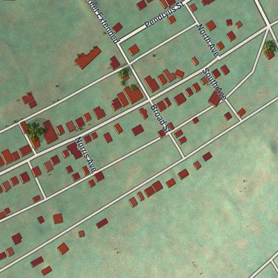 Close-up of the map of Delta, Pennsylvania print showing street and building detail