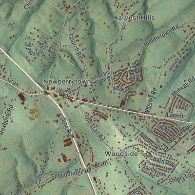 Close-up of the map of Newberry, Pennsylvania print showing street and building detail