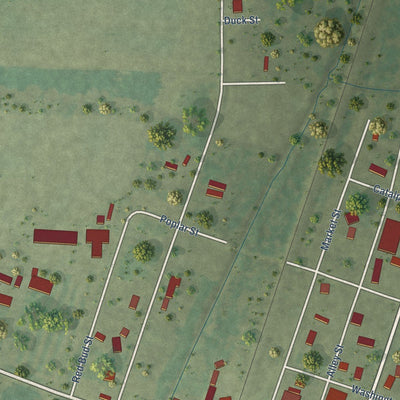 Close-up of the map of Pulaski, Illinois print showing street and building detail