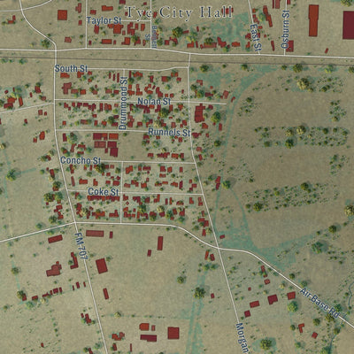 Close-up of the map of Tye, Texas print showing street and building detail