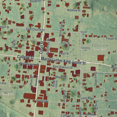 Close-up of the map of Cuthbert, Georgia print showing street and building detail