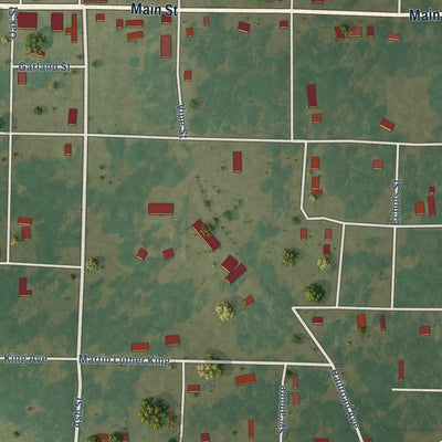 Close-up of the map of Cotton Plant, Arkansas print showing street and building detail