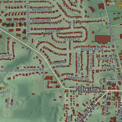 Close-up of the map of Lexington, Ohio print showing street and building detail