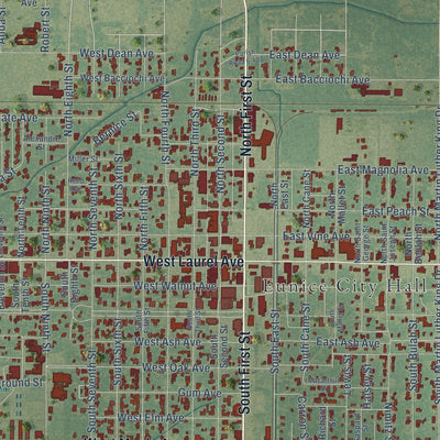 Close-up of the map of Eunice, Louisiana print showing street and building detail