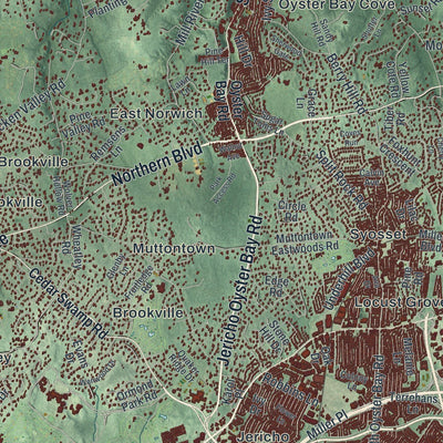 Close-up of the map of Oyster Bay, New York print showing street and building detail