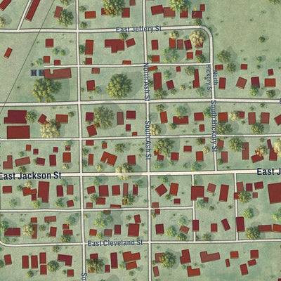 Close-up of the map of Cullom, Illinois print showing street and building detail