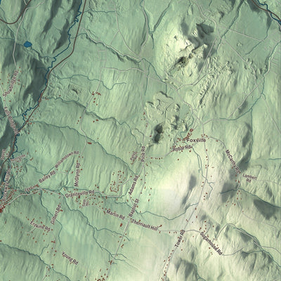 Close-up of the map of Williamstown, Vermont print showing streets and neighborhoods