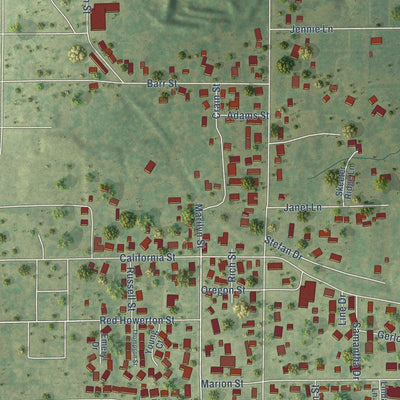 Close-up of the map of Crainville, Illinois print showing street and building detail