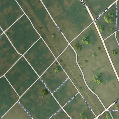 Close-up of the map of Gould, Arkansas print showing street and building detail