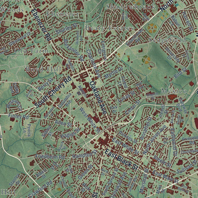 Close-up of the map of Rock Hill, South Carolina print showing street and building detail