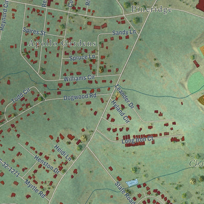 Close-up of the map of Pine Ridge, South Carolina print showing street and building detail
