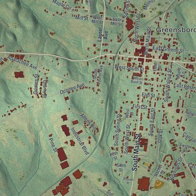 Close-up of the map of Greensboro, Georgia print showing street and building detail