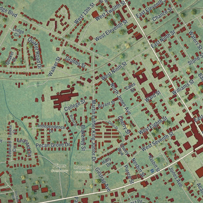 Close-up of the map of Waynesboro, Georgia print showing street and building detail