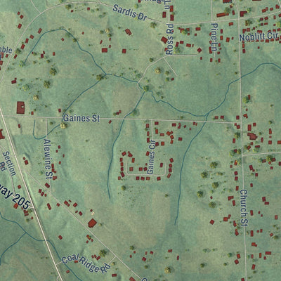 Close-up of the map of Sardis City, Alabama print showing street and building detail