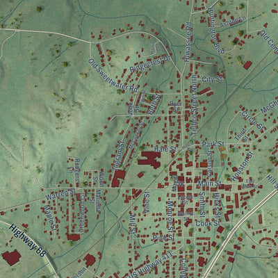 Close-up of the map of Madisonville, Tennessee print showing street and building detail