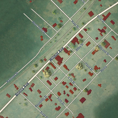 Close-up of the map of Bonita, Louisiana print showing street and building detail