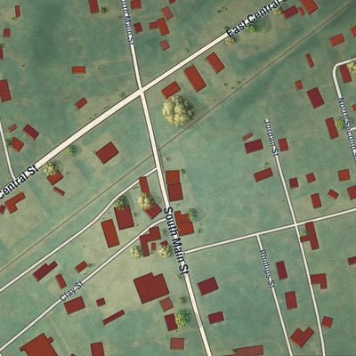 Close-up of the map of Seaboard, North Carolina print showing street and building detail