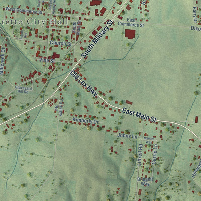 Close-up of the map of Loretto, Tennessee print showing street and building detail