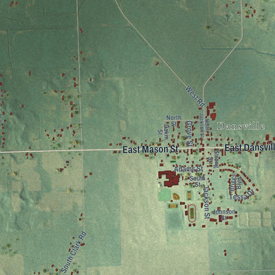 Close-up of the map of Ingham, Michigan print showing street and building detail