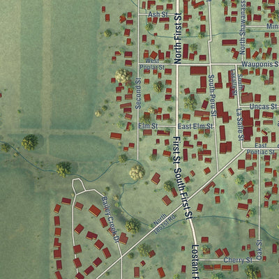 Close-up of the map of Tonica, Illinois print showing street and building detail