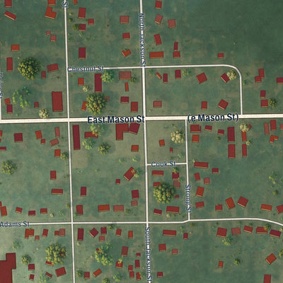 Close-up of the map of Dansville, Michigan print showing street and building detail