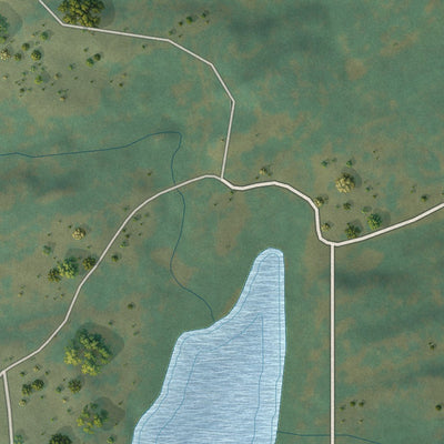 Close-up of the map of Carbonate, Colorado print showing street and building detail